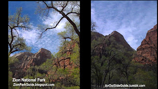 Zion National Park - Bike Riding down Zion Canyon