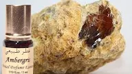 Jenis Jenis Ambergris : Ambergris Muntahan Paus Bernilai Miliaran Rupiah Jalantikus - 11 tanggapan to jenis jenis sujud.