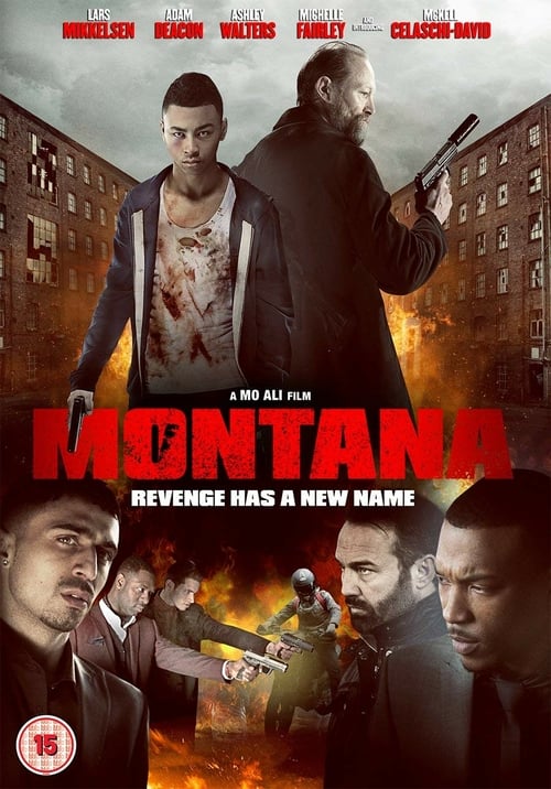 [HD] Montana 2014 Pelicula Completa En Español Castellano