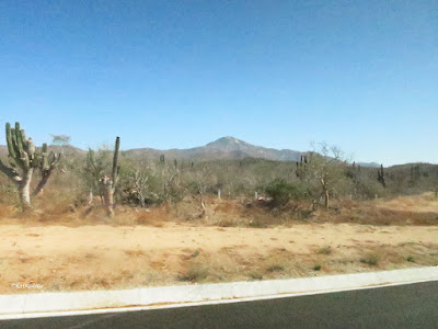 scenery near San Jose del Cabo