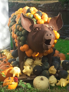 Pumpkin pig