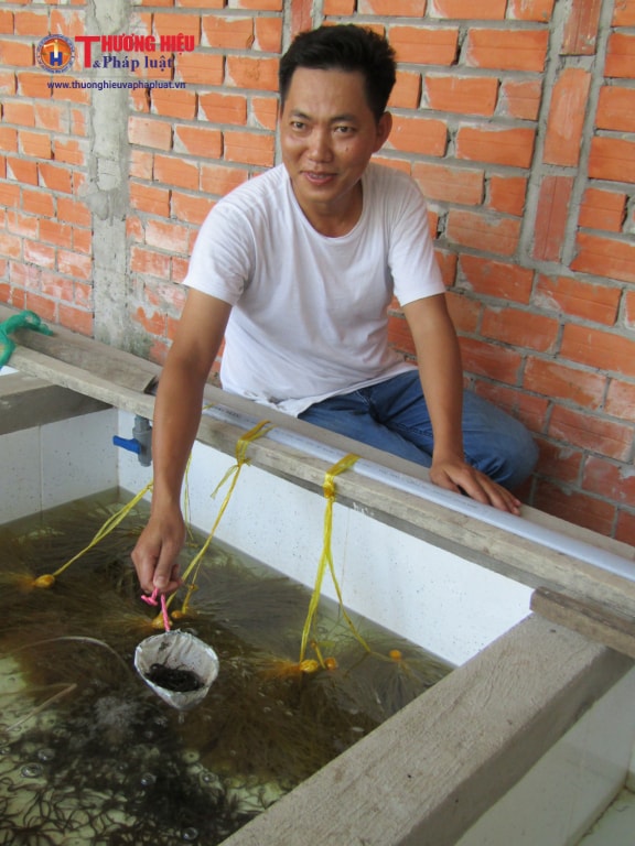 Trở thành tỷ phú trẻ từ lươn giống của chàng trai trẻ Vĩnh Long Trở thành tỷ phú trẻ từ lươn giống của chàng trai trẻ Vĩnh Long