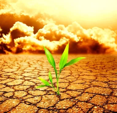 Understanding Natural Hazards: Bushfires, Cyclones, Floods, and Droughts in Australia