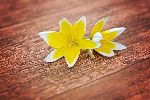 clip_image003