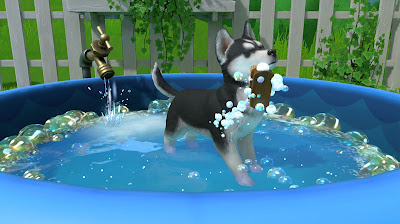 Little Friends Puppy Island Game Screenshot 6
