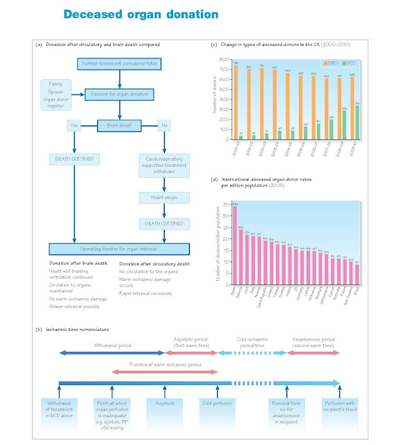 Deceased Organ Donation, Patterns of organ donation, Organ retrieval, DBD donation, DCD donation, Ischaemic times, Contraindications to donation, Suboptimal organs