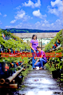 prewedbandungunikoutdoorkerenlembang