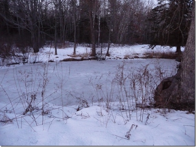 pond