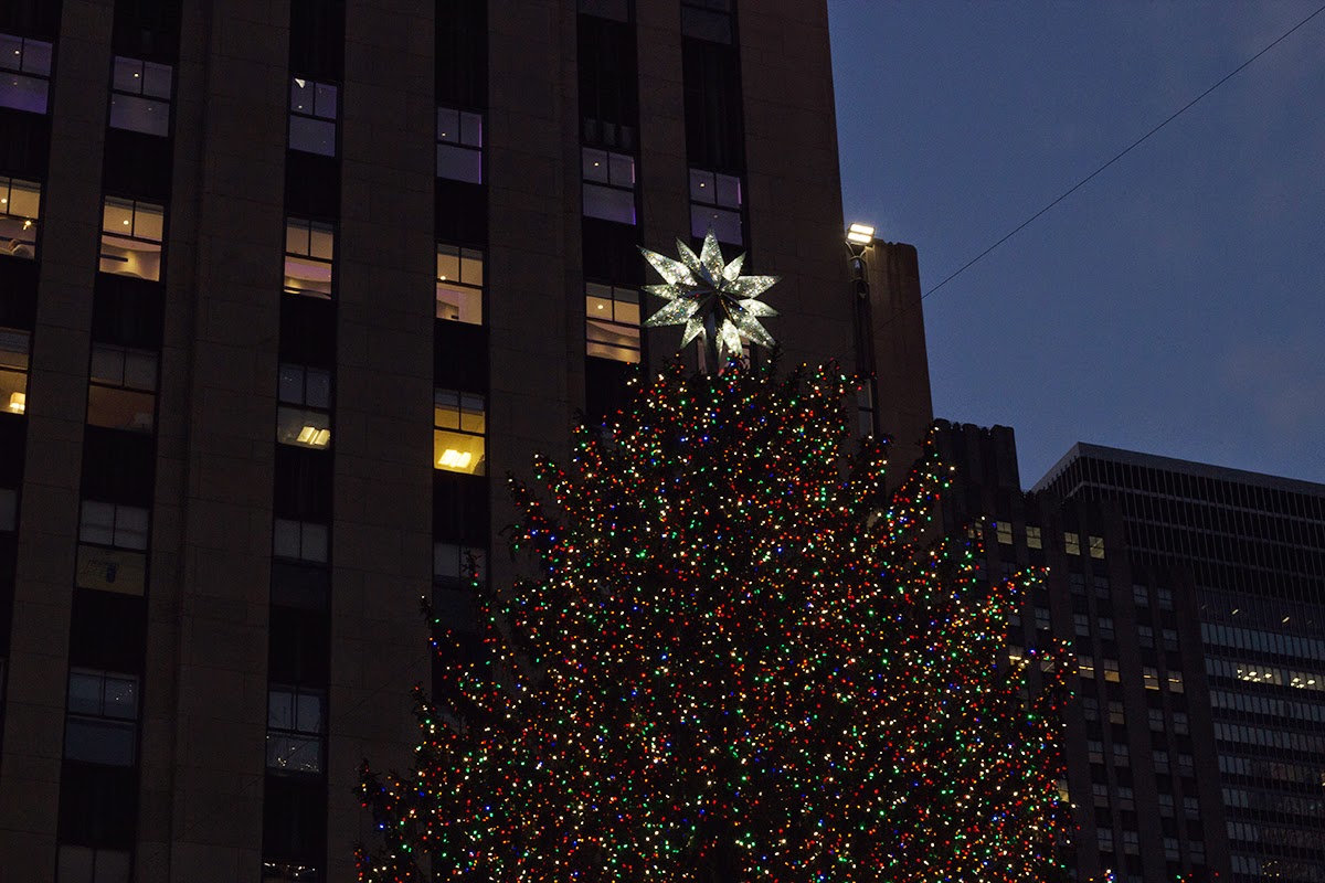 tree at rockefeller center