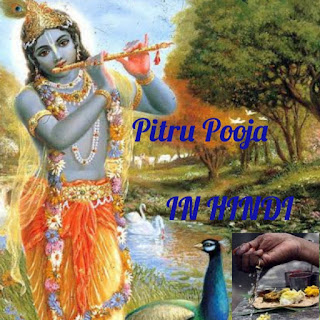 Pitru Pooja in Hindi, Tarpan vidhi in hindi