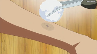 ワンピースアニメ 魚人島編 529話 | ONE PIECE Episode 529