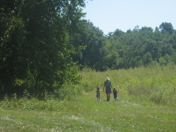 Walk to the Wildcat