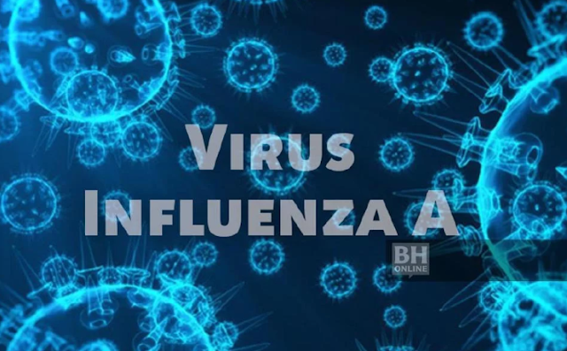 Virus influenza bukan baharu, tiada kaitan kes di China 