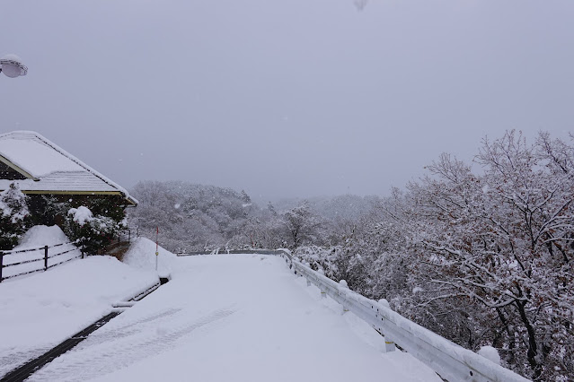 鳥取県米子市淀江町本宮 淀江どんぐり村