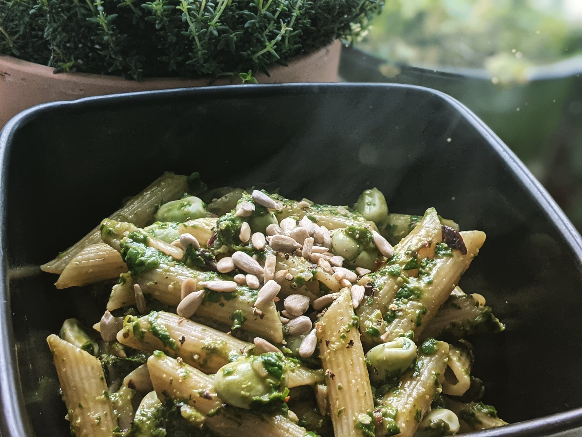 Vegan pesto pasta doodleheart.co.uk littlepackofvegans