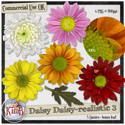 kb-daisydaisy-realistic3