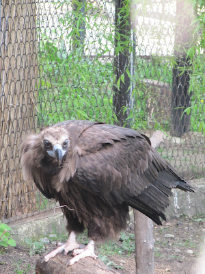 hoitar zoo Chișinău