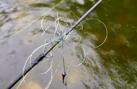 Pesca a Mosca Galicia: Bajos de linea para la pesca a mosca.