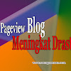 Pageview Blog Meningkat Drastis