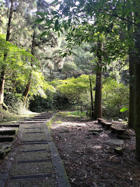 東眼山國家森林遊樂區 - 森林知性步道