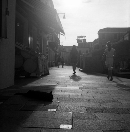 black cat, Burano/Venice, Rolleicord III, Kodak TriX 320