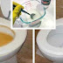 Amazing! Leave your toilet clean in just 10 seconds with this trick