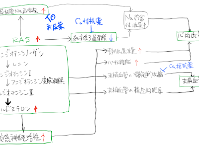 無料ダウンロード バクタ ���付 文書 350900-バクタ 添付文書 pdf