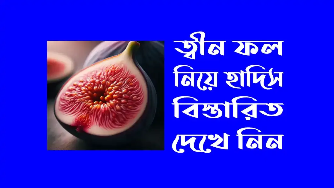 ত্বীন ফল নিয়ে হাদিস