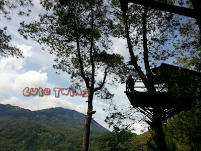 berburu spot foto di omah kayu kota batu