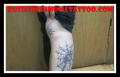 Spider Tatto on Russian Criminal Tattoo Photos Meanings Of Tattoo Vor V Zakone Stars