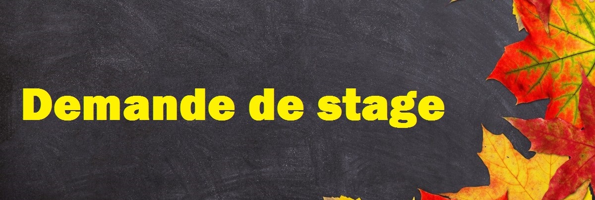 exemple de métaphore sur la neige   26