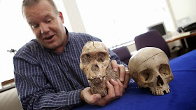 Scientists bag more than 1,000 fossils at Cradle 'treasure trove'