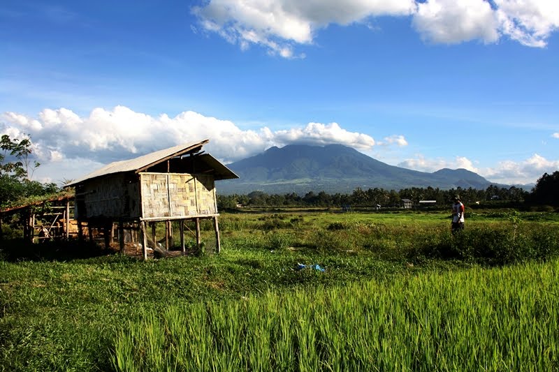 Blog juru potret: campur sari show