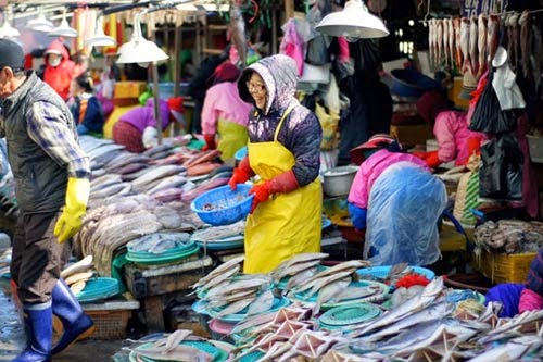 Đến thăm chợ hải sản Jagalchi nổi tiếng xứ Hàn - 2 Đến thăm chợ hải sản Jagalchi nổi tiếng xứ Hàn - 2