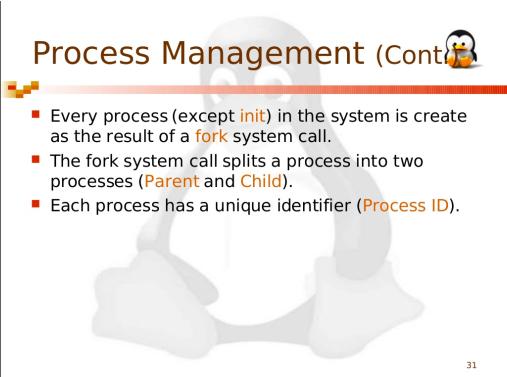 init fork process