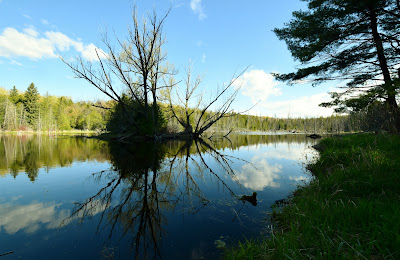 McCarston's Lake Ontario.