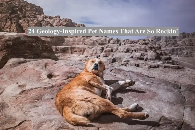 24 Geology-Inspired Dogs, Cats, and pets Names