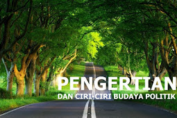 Pengertian dan Ciri-Ciri Budaya Politik