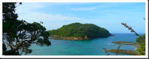Goat Island (5)