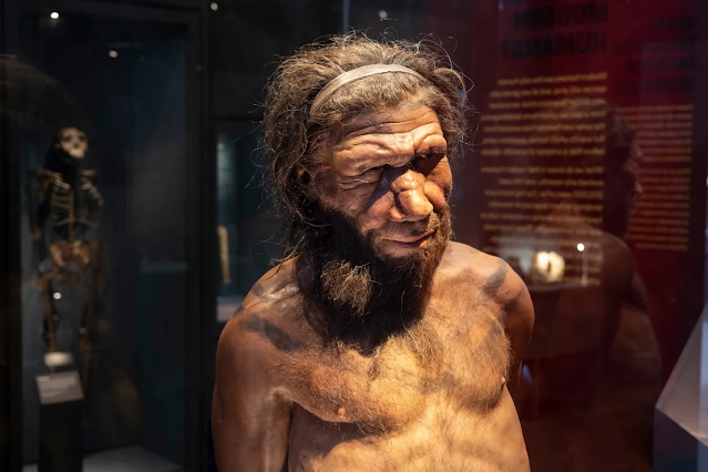 A-figure-of-a-Neanderthal-man