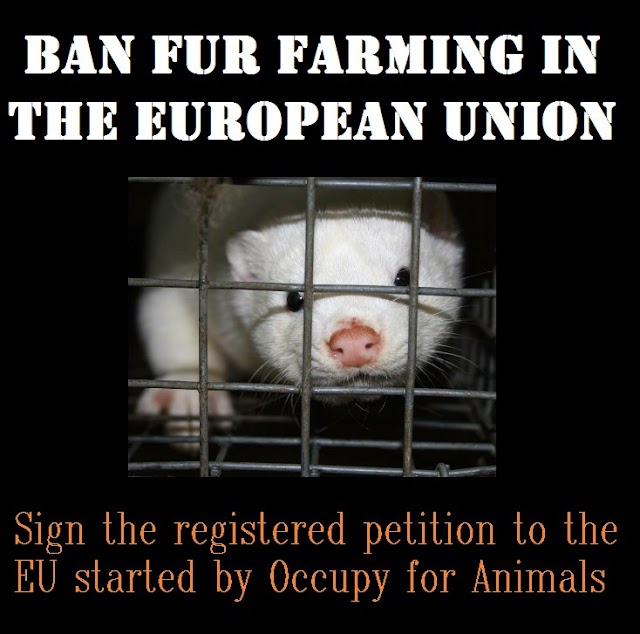  Ban fur farming in the European Union