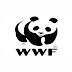 Latest WWF Pakistan Management Posts Quetta 2022