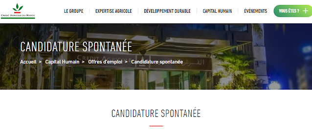 إستمارة الترشيح الجديدة لطلب العمل بمجموعة القرض الفلاحي 2023 Candidature Spontanée