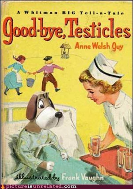 wtf photos videos - Goodbye Testes