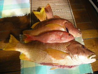 fresh fish, La Ceiba, Honduras