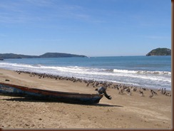 P1100046