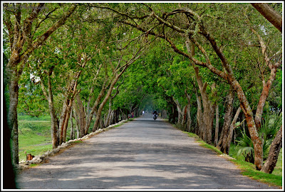 Nijhum Dwip Sea Beach, Virgin Island Sea Beach, Nijhum Island Hatia, Trip Navigation Bangladesh, Nijhum Dwip Travel Guide