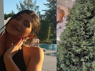 Kylie Jenner Shows Off Her Monstrous Christmas Tree As She Embellishes For Christmas and Thanksgiving Watch