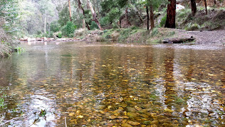 Lerderderg State Park Walk