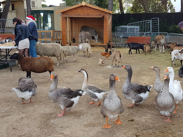 Small farm, Jardin de la Pinède